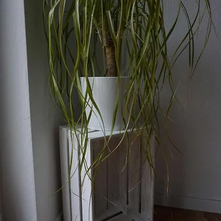 公寓 Sporn Hemfurth-Edersee