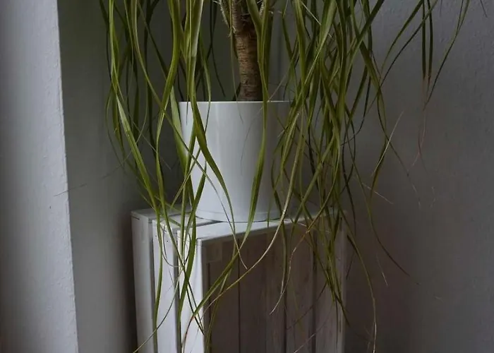 Apartmán Sporn Hemfurth-Edersee