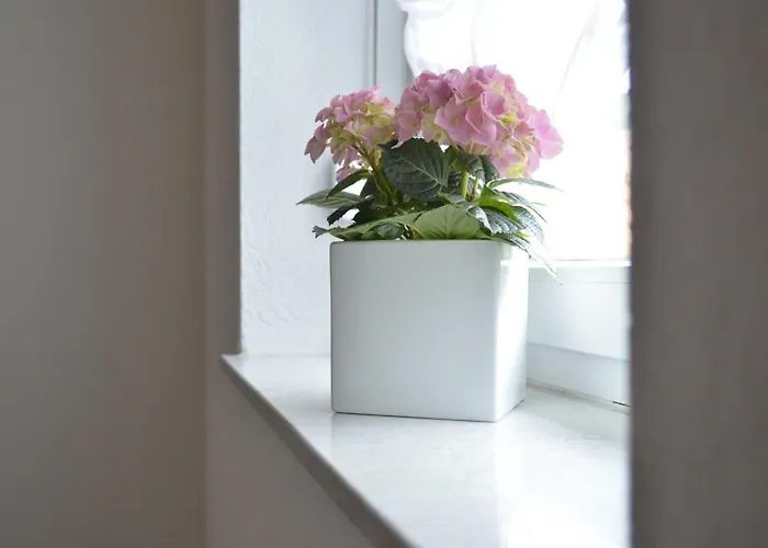 Sporn * Hemfurth-Edersee